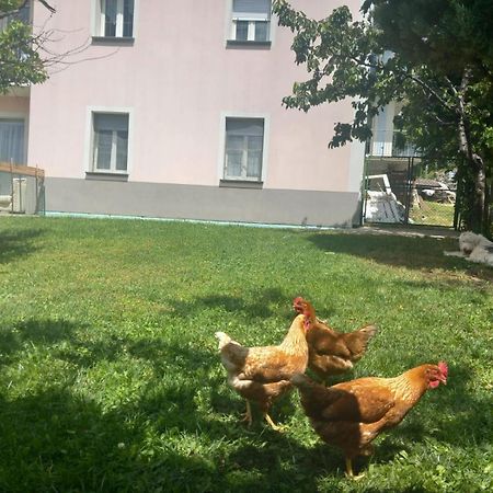 Casa Sergio Grosio Dış mekan fotoğraf
