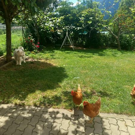 Casa Sergio Grosio Dış mekan fotoğraf