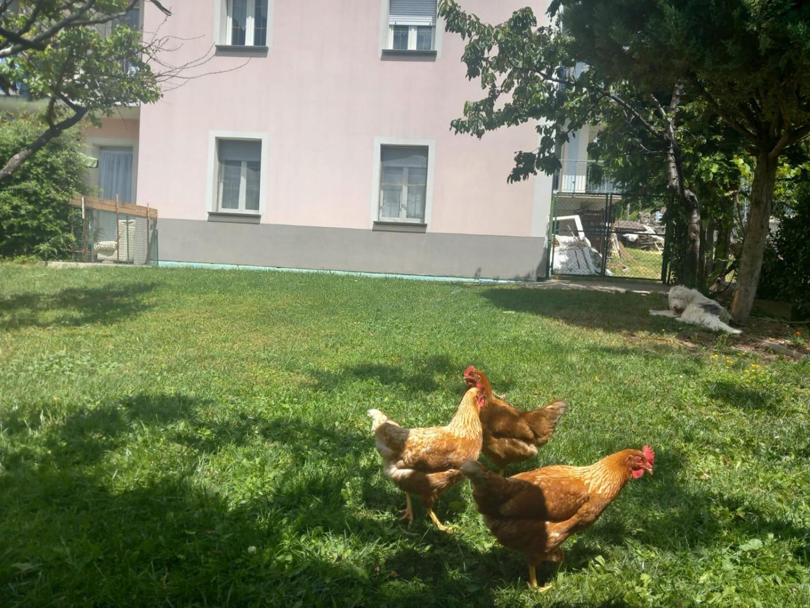 Casa Sergio Grosio Dış mekan fotoğraf