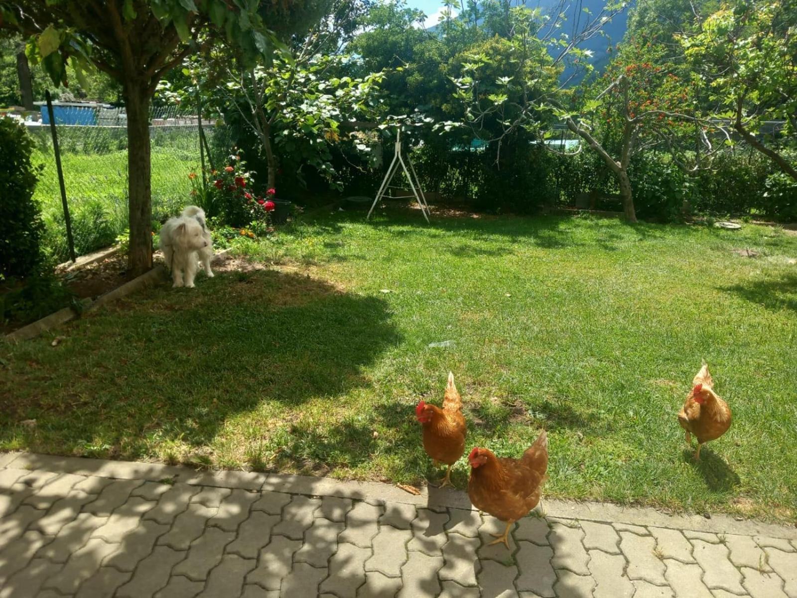 Casa Sergio Grosio Dış mekan fotoğraf
